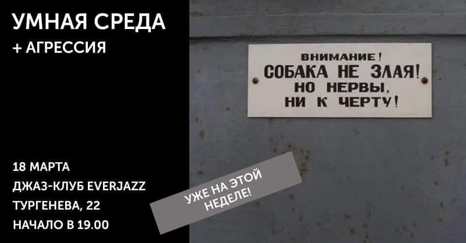 Дискуссионный клуб "Умная среда". Агрессия